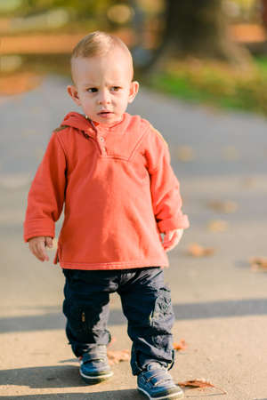 A little toddler boy walking outdoors on a meadow on sunny day in autumnの写真素材