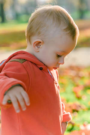 A little toddler boy walking outdoors on a meadow on sunny day in autumnの写真素材