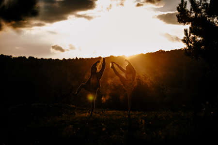 Romantic young loving couple dancing outdoors under orange sky at summertimeの写真素材