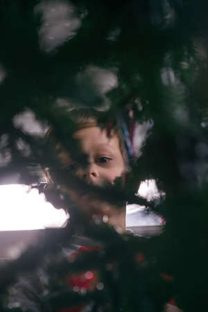 A glance through the Christmas tree,young boy and his favourite candy.