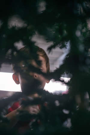 A glance through the Christmas tree,young boy and his favourite candy.の写真素材