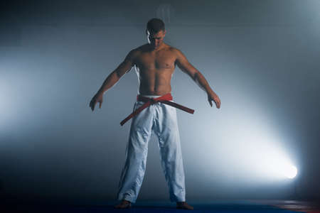 Portrait of an Caucasian professional taekwondo blue belt degree (Dan) preparing for fightの写真素材