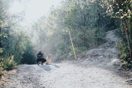 Male Hiker Enjoying a Sunny Day Hiking With His Dog in a Beautiful Autumn Forest Landscapeの写真素材