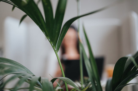 Business female working and discussing reports in a creative office. Blurred photo.の写真素材