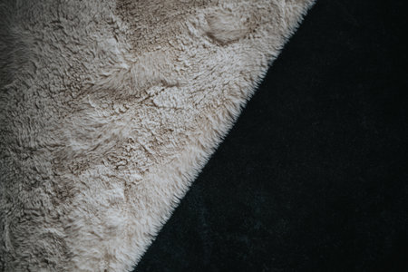 Textured contrast between soft beige fur and smooth black fabricの写真素材