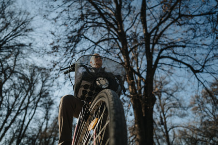 Perspective view of a cyclist enjoying a peaceful ride in the park under a clear sky.