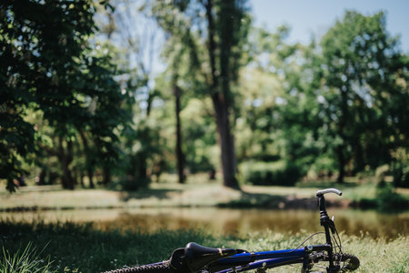Leisure bike resting in a peaceful sunny park with a serene pond and lush treesの写真素材