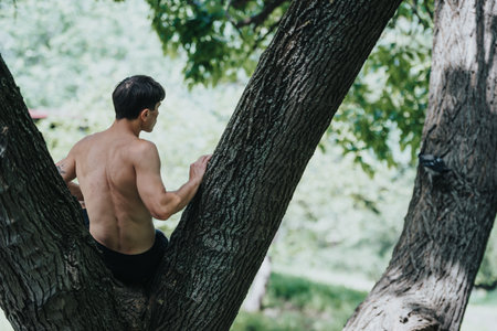 Man relaxing shirtless in a tree enjoying natureの写真素材