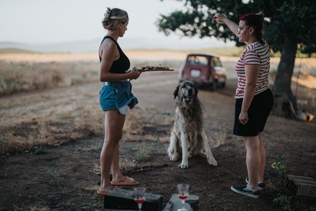 Friends enjoying a picnic with a dog in the countryside, sharing food and laughterの写真素材