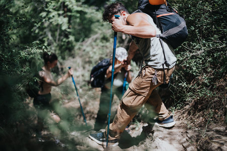 Friends hiking together in a sunny forest on a summer day, enjoying an adventure and a healthy lifestyleの写真素材