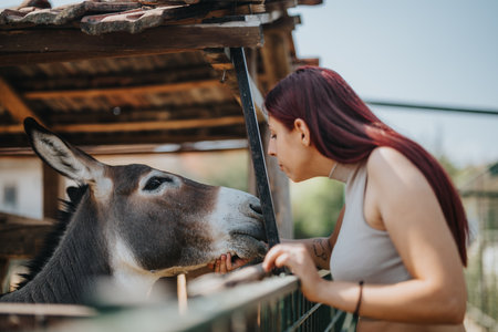 Woman interacting with a gentle donkey at a rustic farmの写真素材