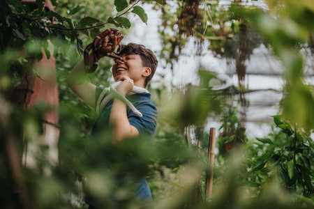 Girl happily interacting with snakes in a lush green environmentの写真素材