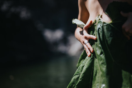 Close-up of hands holding green leaves in natural forest settingの写真素材
