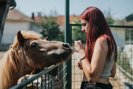 Young woman feeding a pony through a fence at a petting zooの写真素材