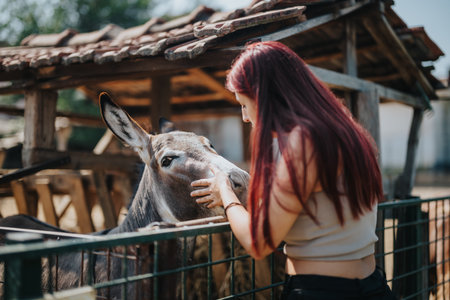 Young woman interacting with a donkey in a rural farm settingの写真素材