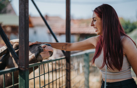 Woman enjoying a joyful moment petting a cow at the farmの写真素材