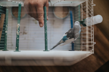 Hand interacting with a pet bird in a cage, showcasing domestic avian care and companionship