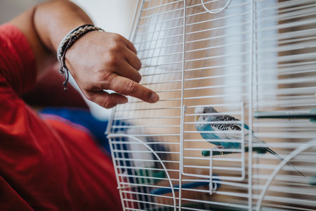 Close-up of a hand interacting with a blue parakeet inside a white cage, emphasizing pet care and...
