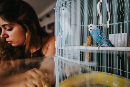 Young woman admiring pet parakeet in its cage at homeの写真素材
