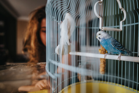 Blue budgerigar sitting on perch in a cozy indoor setting