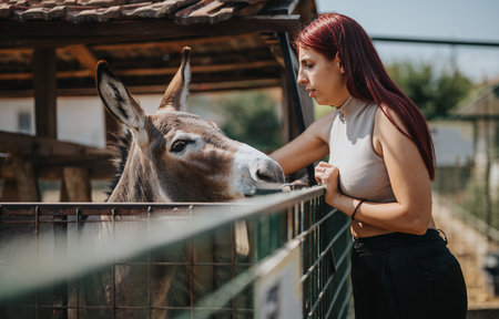 Woman interacting with donkey in a farm setting on a sunny dayの写真素材
