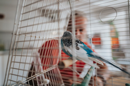 Close-up of a blue and white budgie perched inside a cage with a blurred person in the background