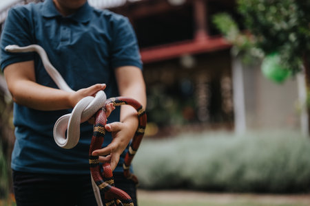 Young girl enjoys playing with colorful, exotic snakes outdoorsの写真素材