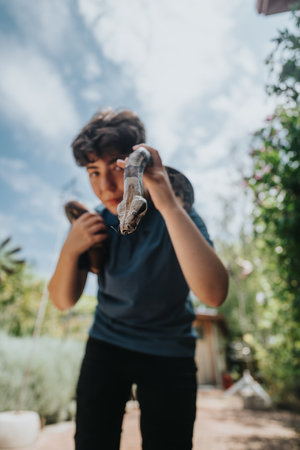 Young girl confidently handling pet snakes outdoors on a sunny dayの写真素材