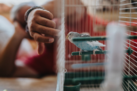 A person interacting with a blue budgie inside a birdcage, showcasing gentle connection and pet care in a cozy home environment.の写真素材