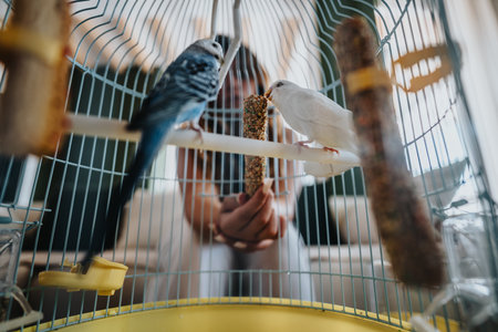 Two birds in a cage being fed by handの写真素材