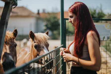 Young woman interacting with ponies at a petting zoo on a sunny dayの写真素材