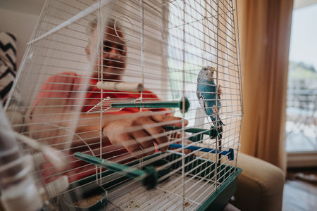 Man interacting with pet parakeet in a birdcage at home