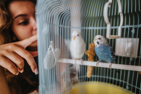 Woman interacting with parakeets in a birdcage at homeの写真素材