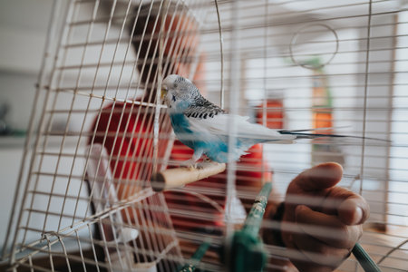 Close-up of a vibrant budgie perched inside a cage, reflecting companionship and care in a homely settingの写真素材