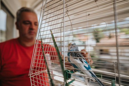 Man observing colorful parakeet in a birdcage at homeの写真素材