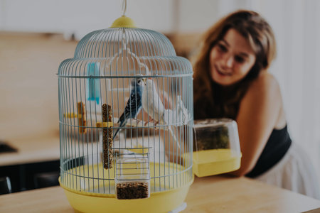 Woman smiling at two parrots inside a cozy cage on a wooden table in a bright and airy roomの写真素材