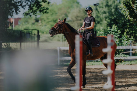 Equestrian enjoying a sunny day riding at the training arena