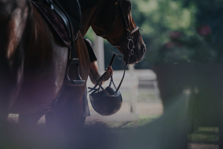 Horse and rider preparing for an equestrian training sessionの写真素材