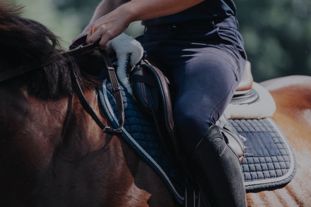 Close-up of an equestrian rider on a horse using tack gear