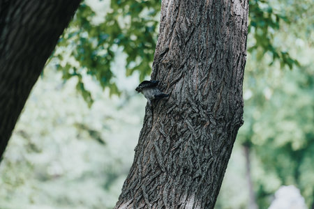 Bird perched on tree trunk in lush green forest on a sunny day