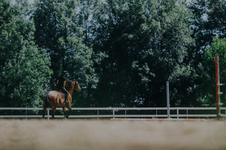 Equestrian riding in a lush green outdoor ring on a sunny dayの写真素材