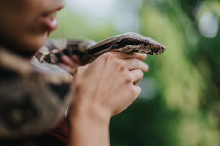 Close-up of person gently holding a snake in natural surroundingsの写真素材