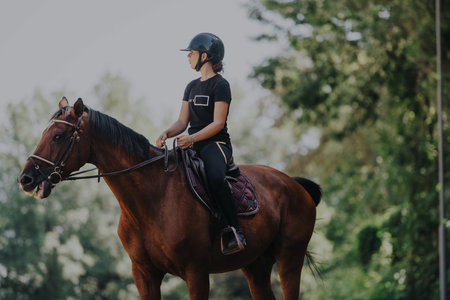 Equestrian woman riding a horse in a lush outdoor settingの写真素材