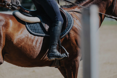 Close-up of equestrian rider on a brown horse in riding gear