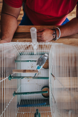 Man observing a parakeet inside a birdcage from above with wooden table background