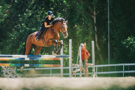 Competitive equestrian show jump with rider and horse in actionの写真素材