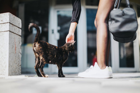 Person interacting with a friendly cat on urban streetの写真素材