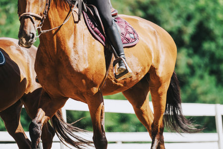 Close-up of equestrian riding a horse in outdoor settingの写真素材