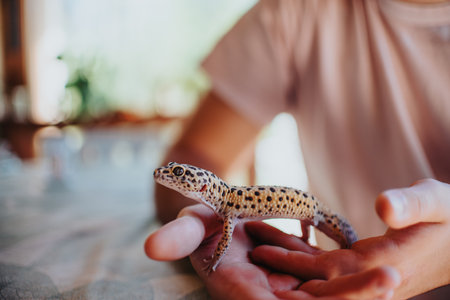 Girl gently holding a spotted gecko in her hands, showcasing a moment of connection between child and natureの写真素材