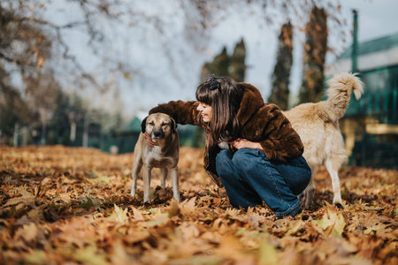 Woman spending time with dogs in a park during an autumn dayの写真素材